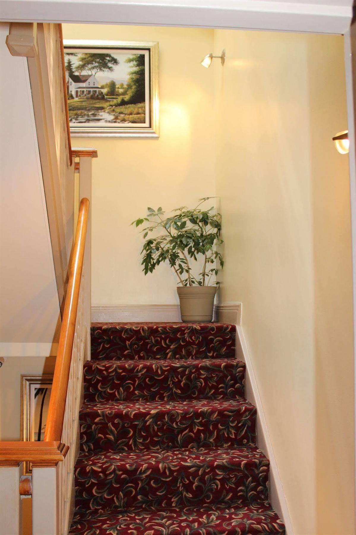 Le Saint-Malo Hotel Μόντρεαλ Εξωτερικό φωτογραφία